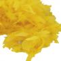 Feather Boa- Yellow- 6 Foot