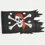 Pirate Flag- Battle Worn- 33X49 Inch