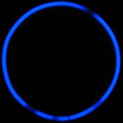 Glo Necklace- Blue 50 Pc Tube
