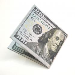 $100 Bill Wallet- New $100 Bill Design- Each in a Poly Bag