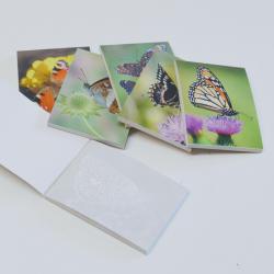 Butterfly Memo Pad- 6 Assorted Designs