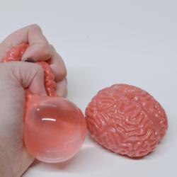Squishy Brain Ball- 3 Inch- Pink- 1 Doz Dsp Box