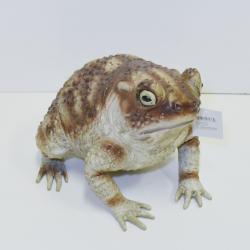 Foam Toad Latex Prop- 8 Inches Tall